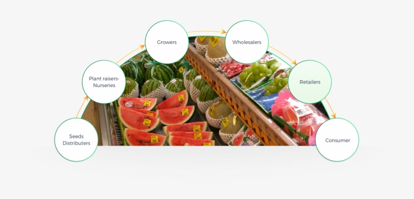 Origene Seeds Lead To A Significant Contribution For - Natural Foods, transparent png download