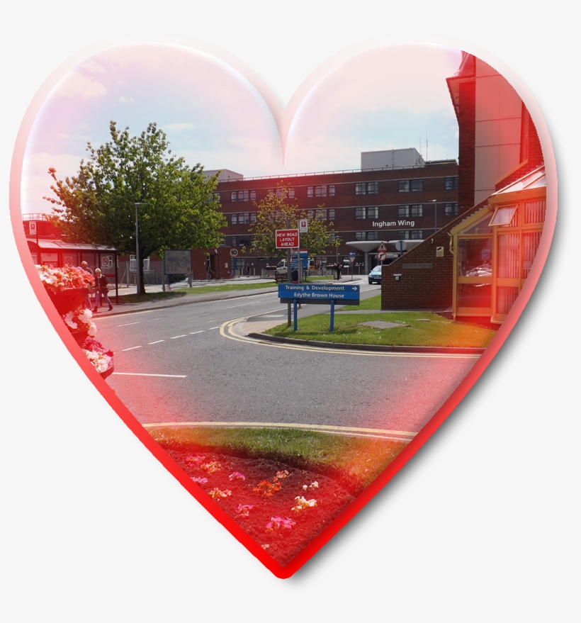 The Heart Of South Tyneside - Graphic Design, transparent png download
