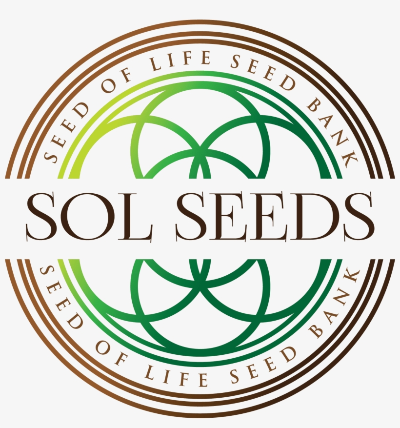 Scar Tissue Logo, transparent png download