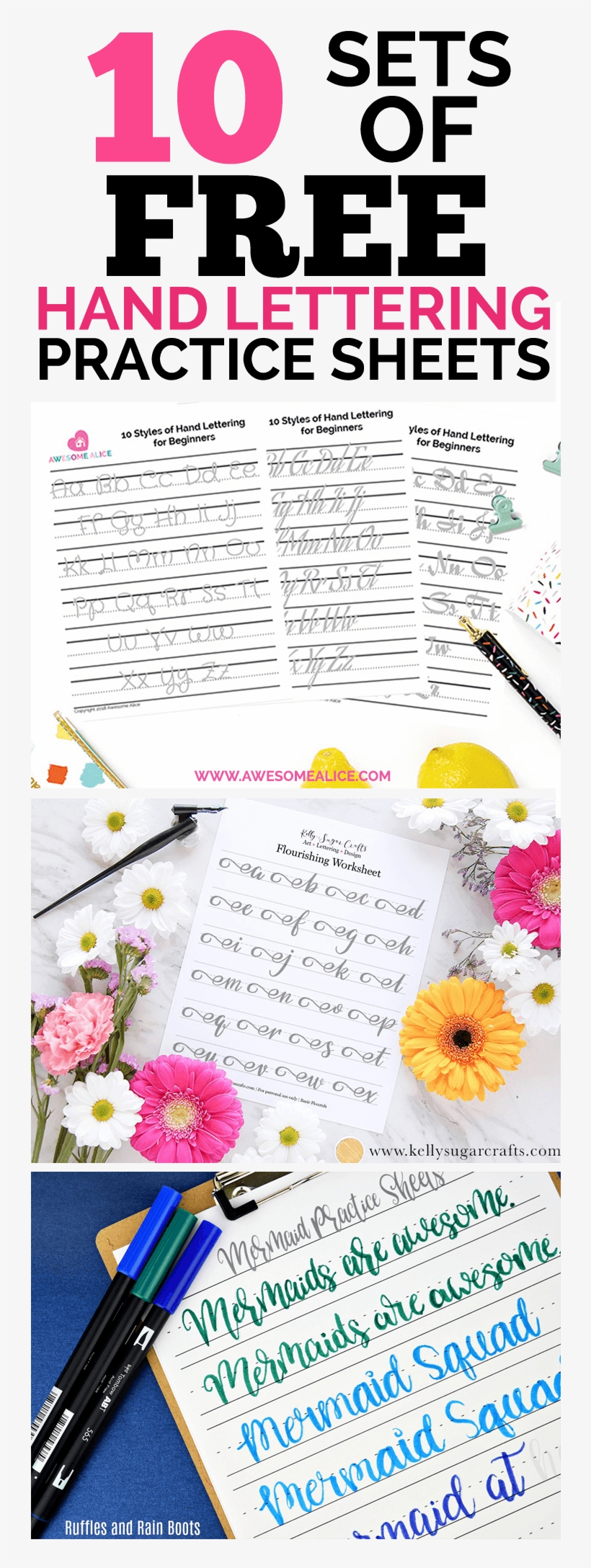 Grow Your Skills With Nine Free Hand Lettering Worksheets, - African Daisy, transparent png download