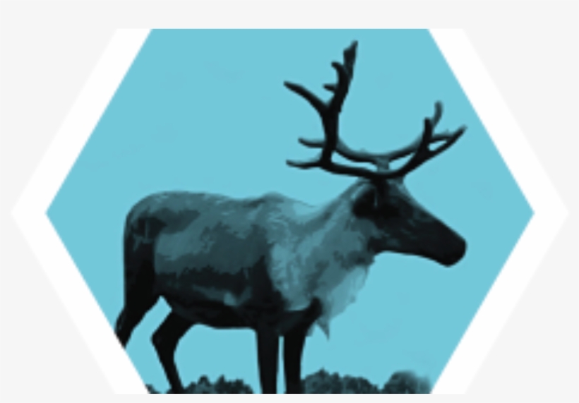 Antler, transparent png download