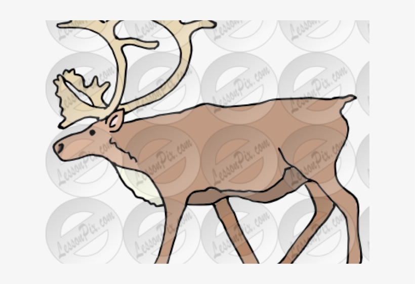 Clip Art, transparent png download