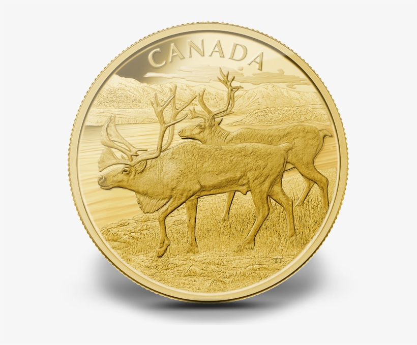 Canada 2013 Caribou Proof Gold 1 Kg - Coin, transparent png download