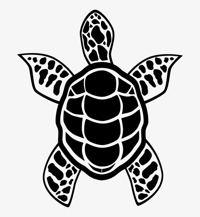 I Will Recreate Your Art Into A Finished Vector - Hawksbill Sea Turtle, transparent png download