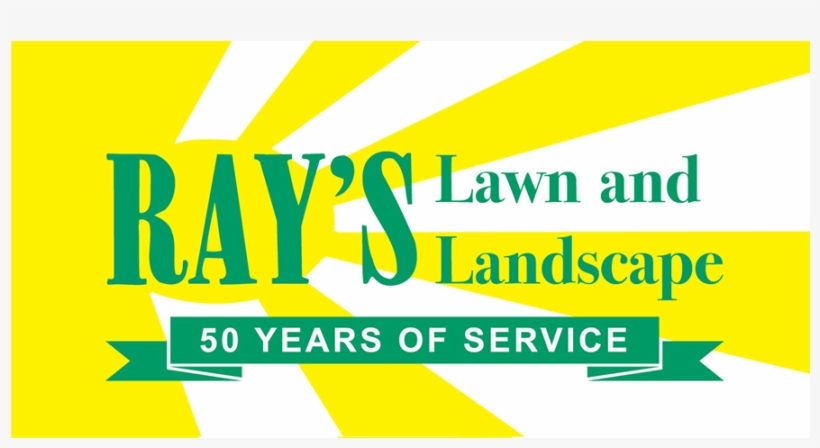 Rays - Graphic Design, transparent png download