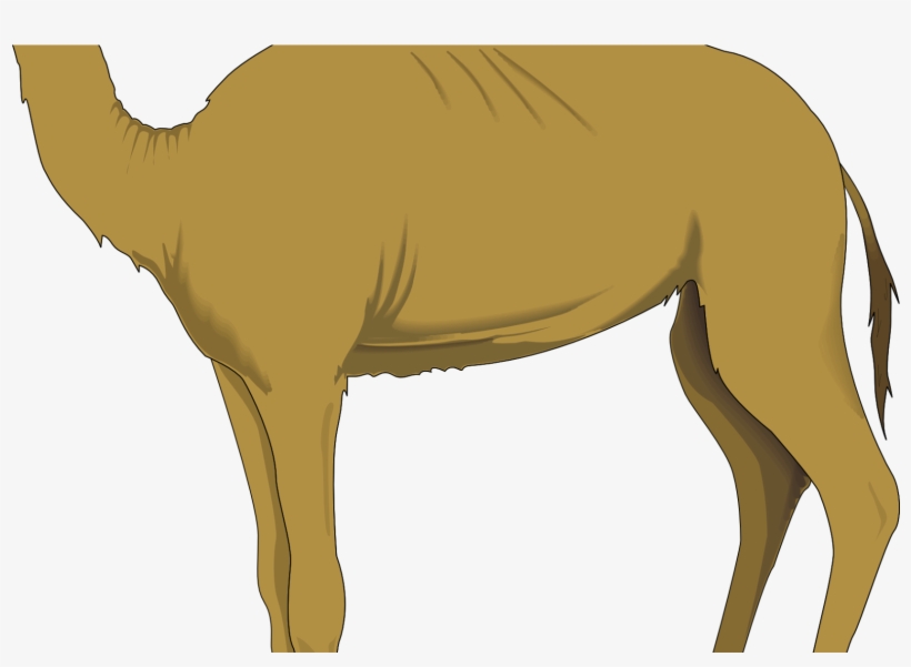 Camel Images Clip Art Surprising Clipart By Vector - Camel Clip Art, transparent png download
