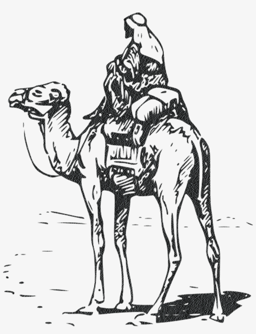 Camel Png Image & Camel Png Clipart Free Download - Jesus Riding A Camel, transparent png download