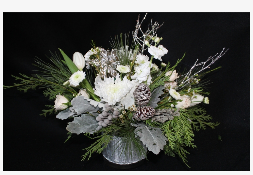 More Views, transparent png download