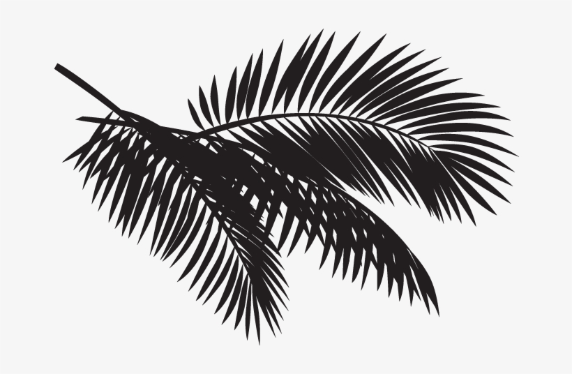 Zaks Beach Party - Roystonea, transparent png download