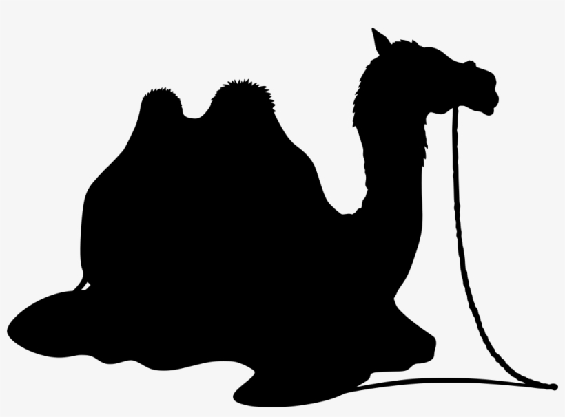 Download Png - Camel Clip Art, transparent png download