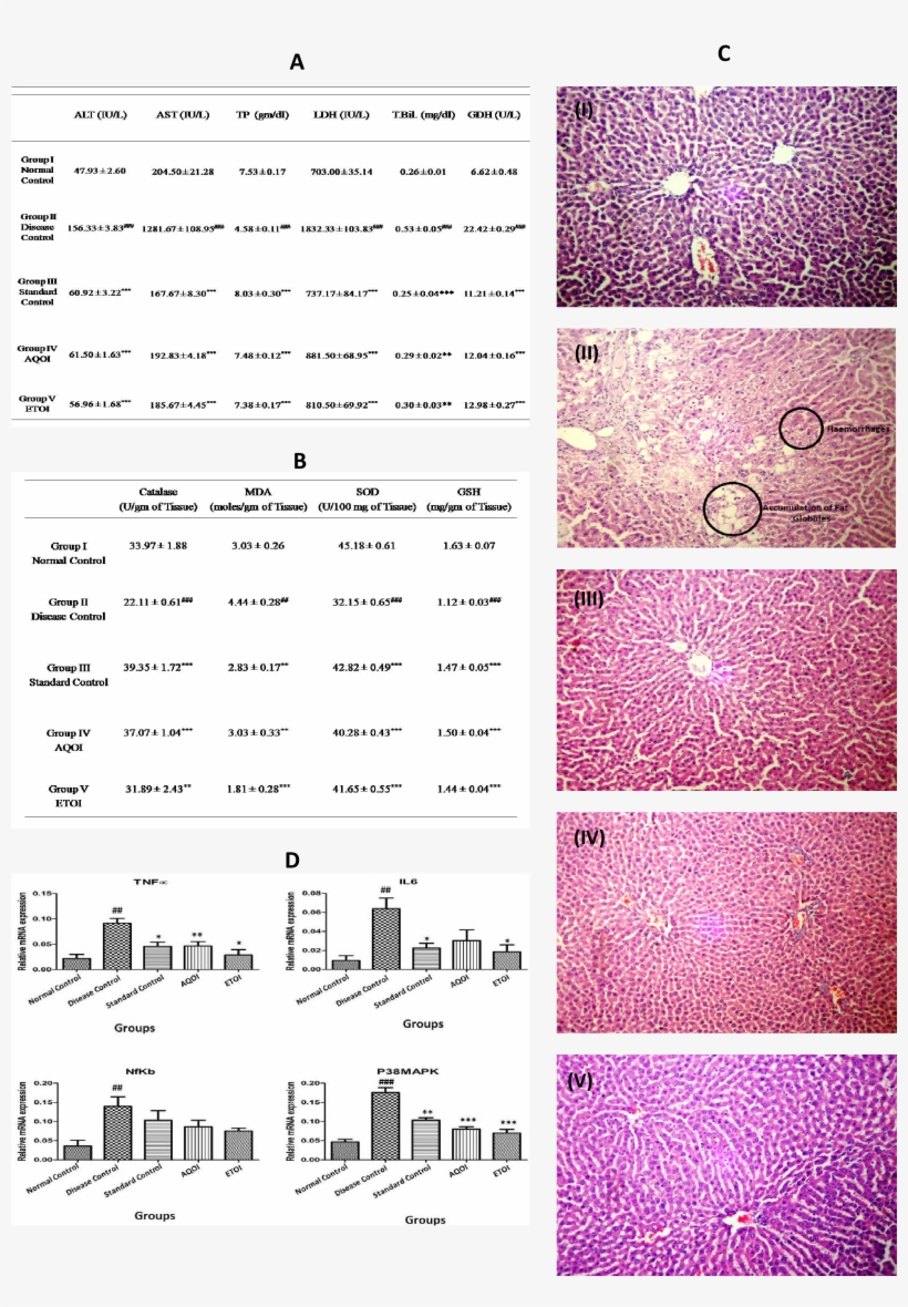 Oroxylum Indicum Whole Stem Extract Regulates Expression - Document, transparent png download