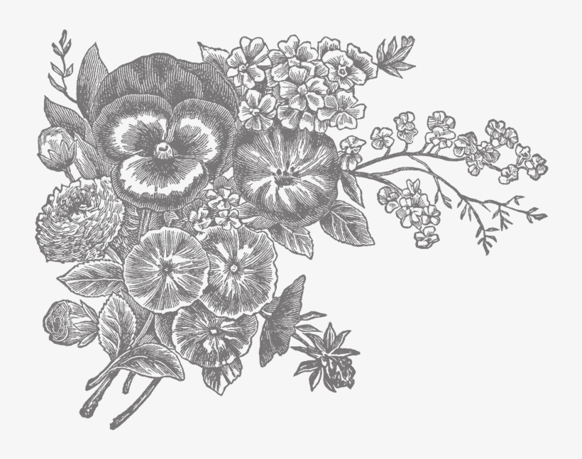 The Story Of - Botanical Oracle Decks, transparent png download