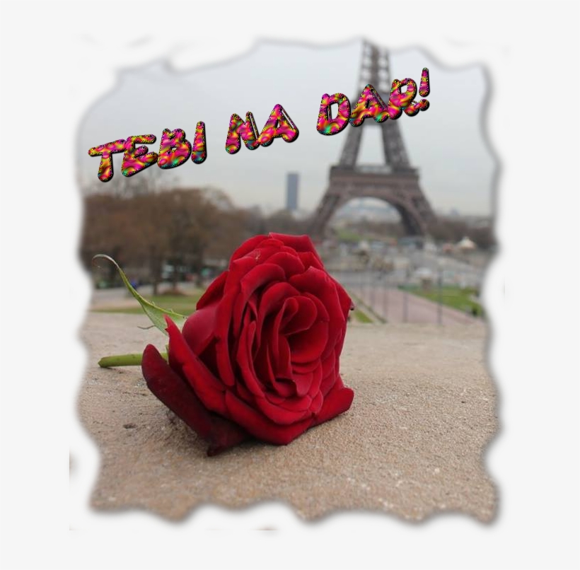 Photo Crvenaruza - Love In Paris, transparent png download