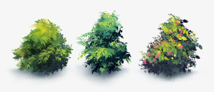 Naturemaster-bushes - Maple Leaf, transparent png download