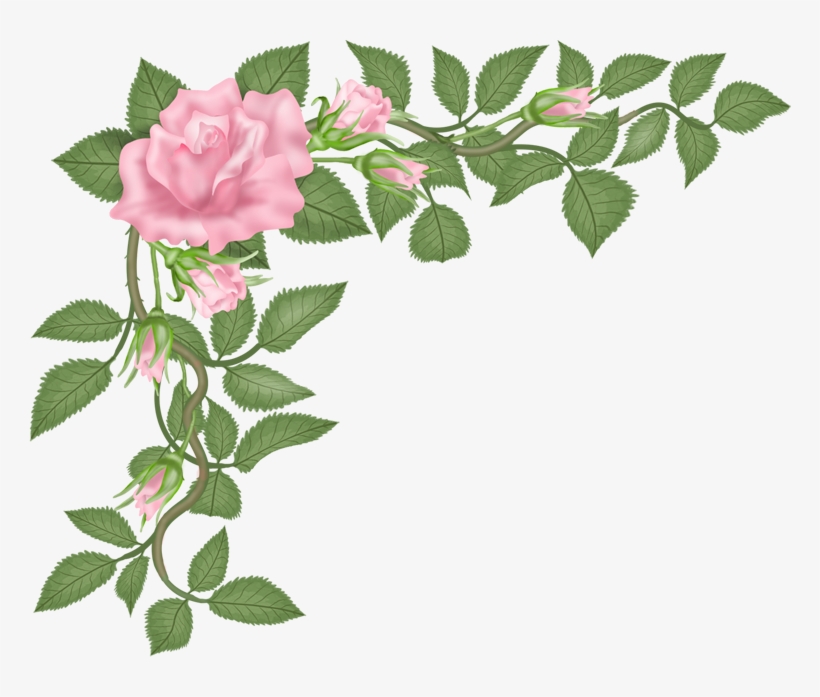 Flowers - Hybrid Tea Rose, transparent png download