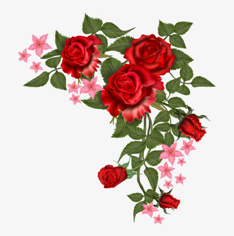 Download Download Flowers Vectors Free Png Transparent Image - Red ...