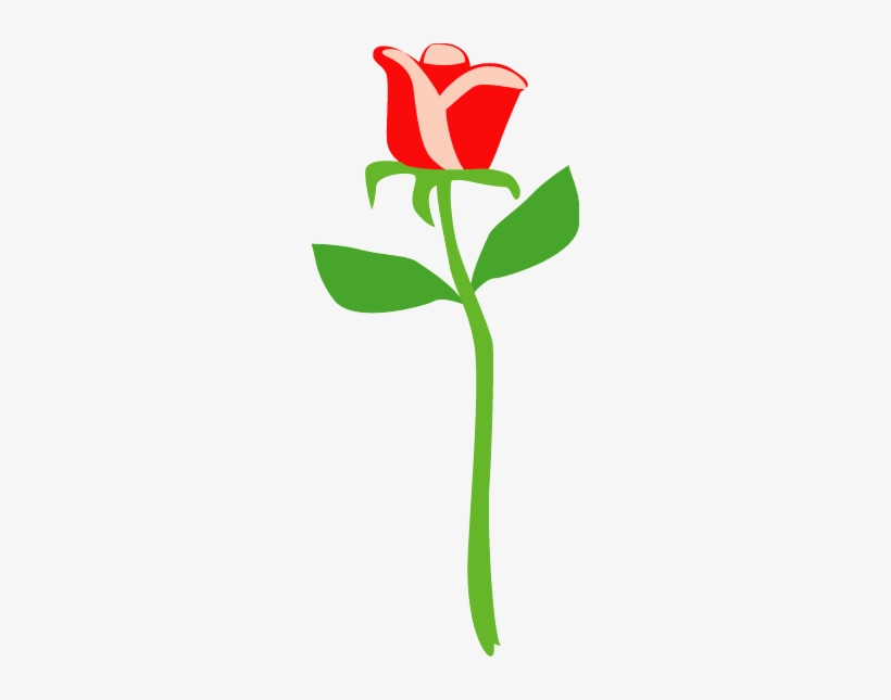 Rose Vector, transparent png download