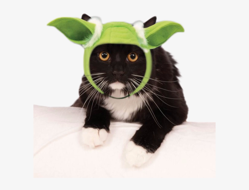 Star Wars Yoda Hood Cat Costume - Cats Yoda Star Wars Ears, transparent png download