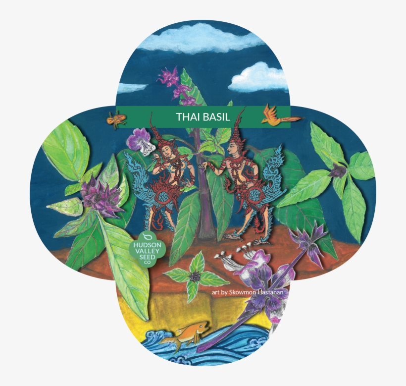 Moth Orchid, transparent png download