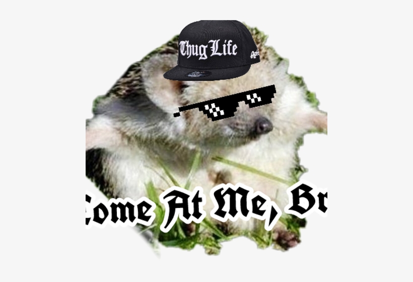 Wolf Xotic, transparent png download