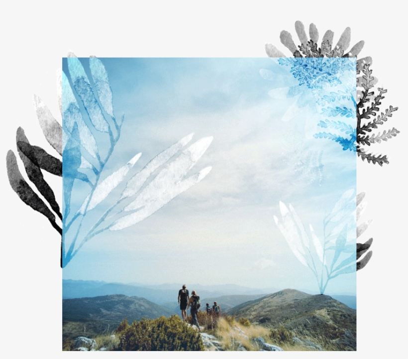 Eclectic-hiking - Hiking, transparent png download