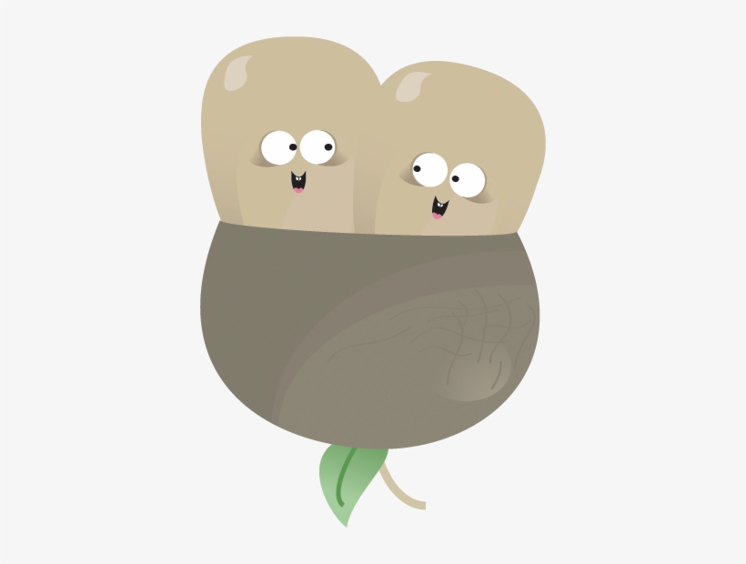 Twins Icon - Icon, transparent png download