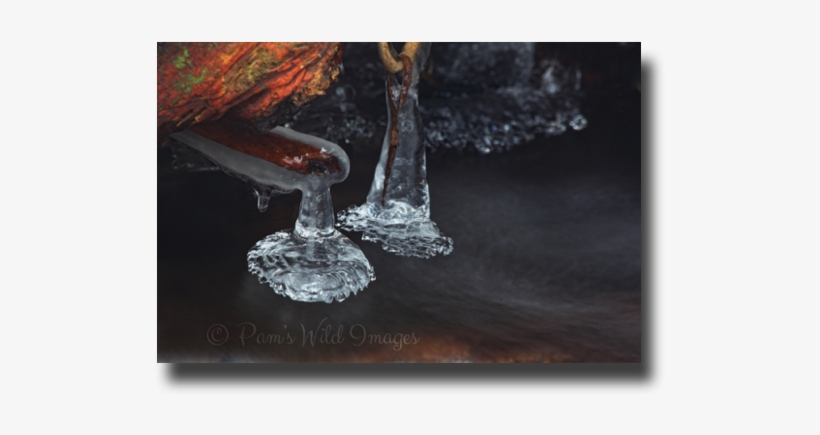 Img 8437 - Jpg - Still Life Photography, transparent png download