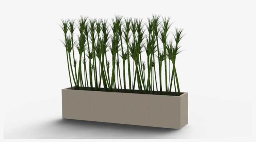 Plant Pot Solidwork, transparent png download
