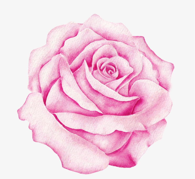 Watercolour - Pink, transparent png download