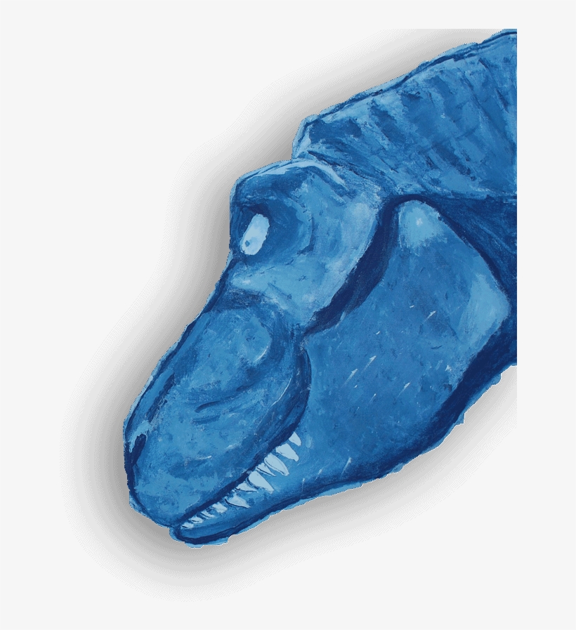 Sketch, transparent png download