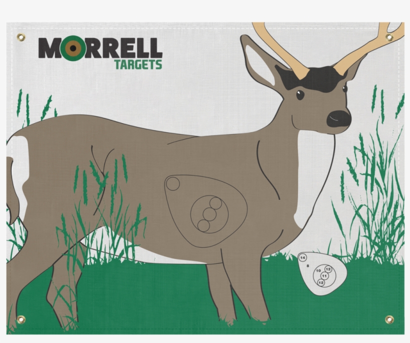 Mule Deer Polypropylene Archery Target Face - Deer Archery Target, transparent png download