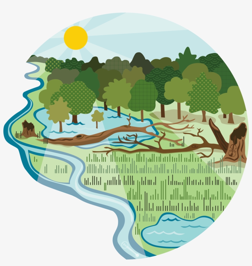 Black Swamp Conservancy's 2018 Bluegrass & Green Acres - Illustration, transparent png download