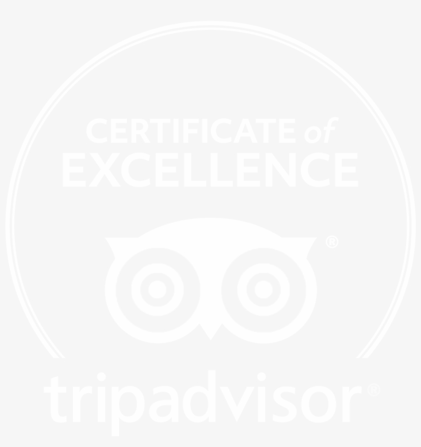 Newsletter Updates - Tripadvisor Certificate Of Excellence Logo Black And, transparent png download