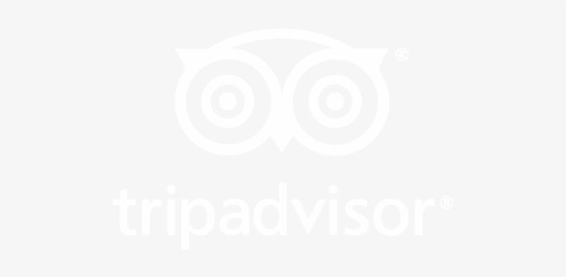 Circle, transparent png download