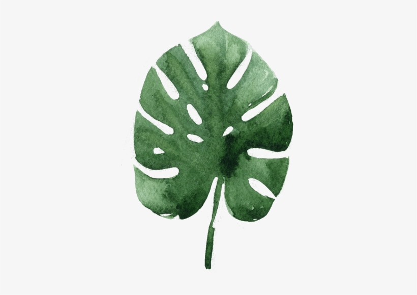 Develop Your Skills With Our Quality Clinics - Transparent Tropical Leaves Watercolor Png, transparent png download