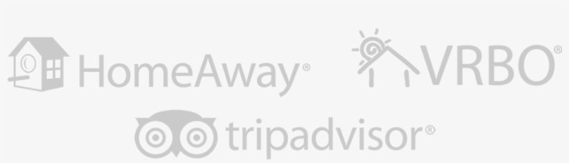 Dave Schmitz 636 221 2977 - Paper, transparent png download