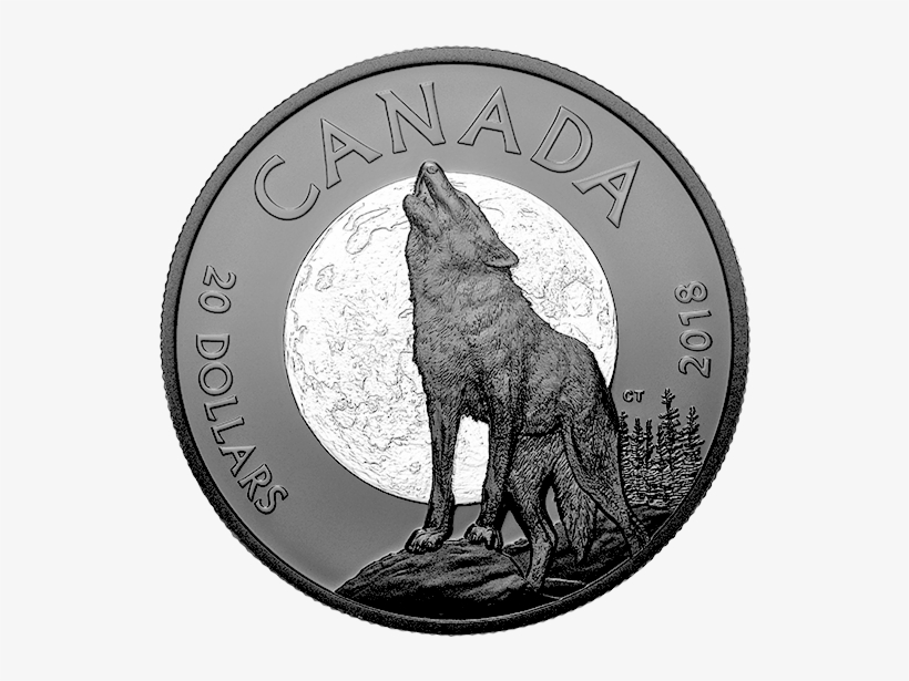 Pure Silver Coin - Nocturnal By Nature Coin, transparent png download