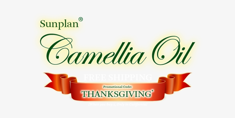 Thanksgiving - Shapeways Wow5 Puzzle Ring, transparent png download