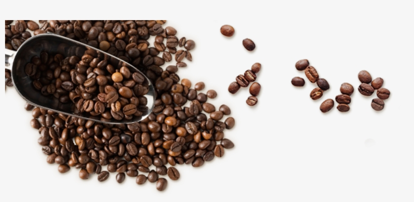 Coffee-left Spoon - พื้น เมล็ด กาแฟ Png, transparent png download