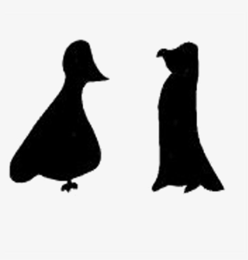 Pigeon Penguin Logo Identity - Adã©lie Penguin, transparent png download