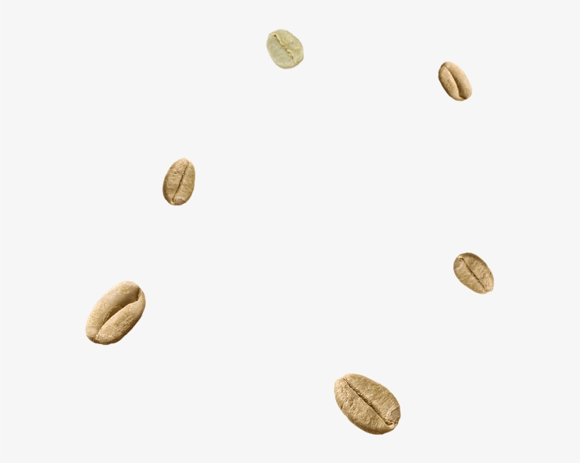 Grading & Sorting - Coin, transparent png download