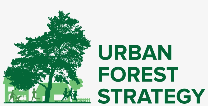 Urban Forest Strategy Launch - Team In Training New, transparent png download