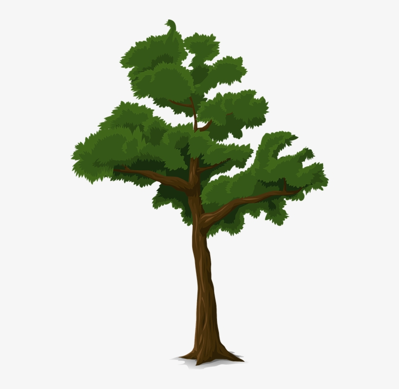 ภาพ เวก เตอร์ ต้นไม้, transparent png download