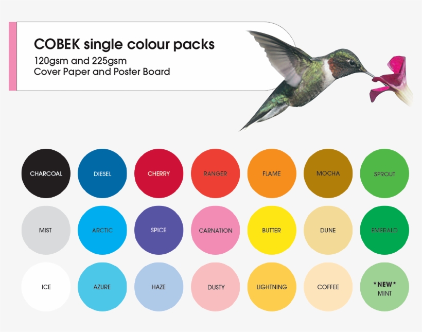 Cobek Poster Paper 225gsm - Ruby-throated Hummingbird, transparent png download