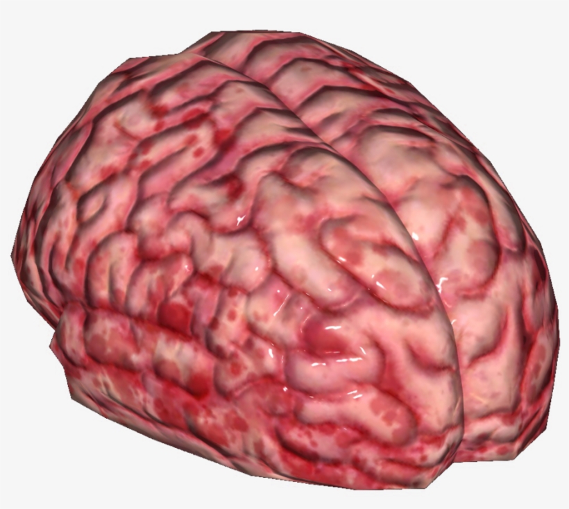 Fallout Wiki Β - Brain (as Food), transparent png download