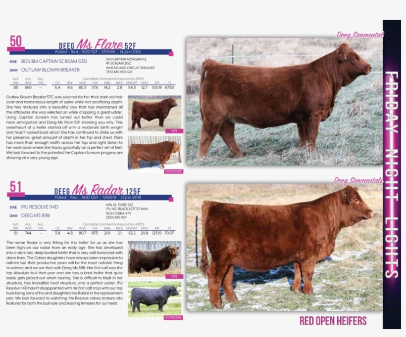 $10,000westman Farms &lewis Farms - Dairy Cow, transparent png download