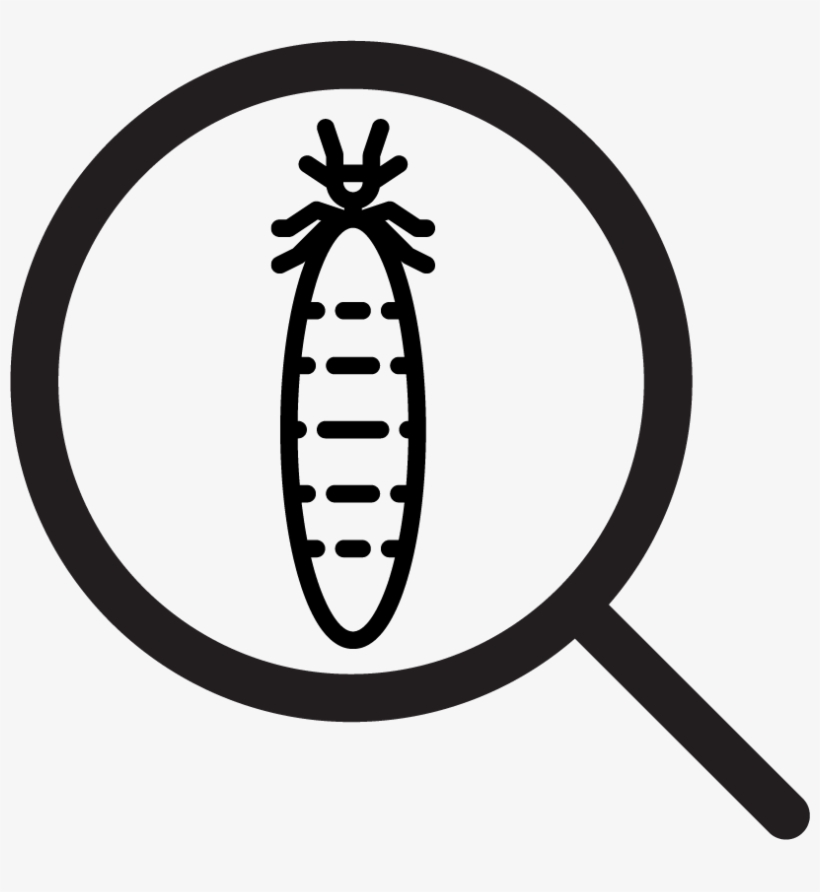 Nsw Sellers Icon - Termite, transparent png download