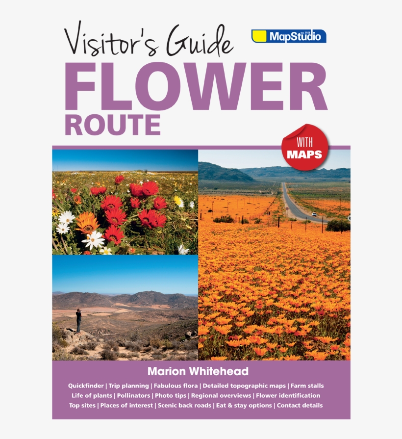 Visitor's Guide Flower Route - Flower Route Western Cape, transparent png download