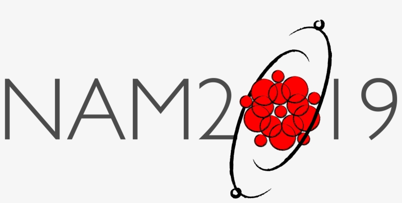 Nam2019 Colour Logo - Illustration, transparent png download