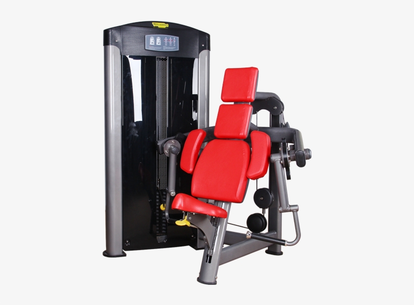 Bft-3007 Biceps Curl Gym Training Equipment - Biceps, transparent png download